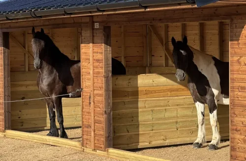 Campion Equestrian Field Shelter